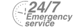 24/7 Emergency Service Pest Control in Pimlico, SW1. Call Now! 020 8166 9746